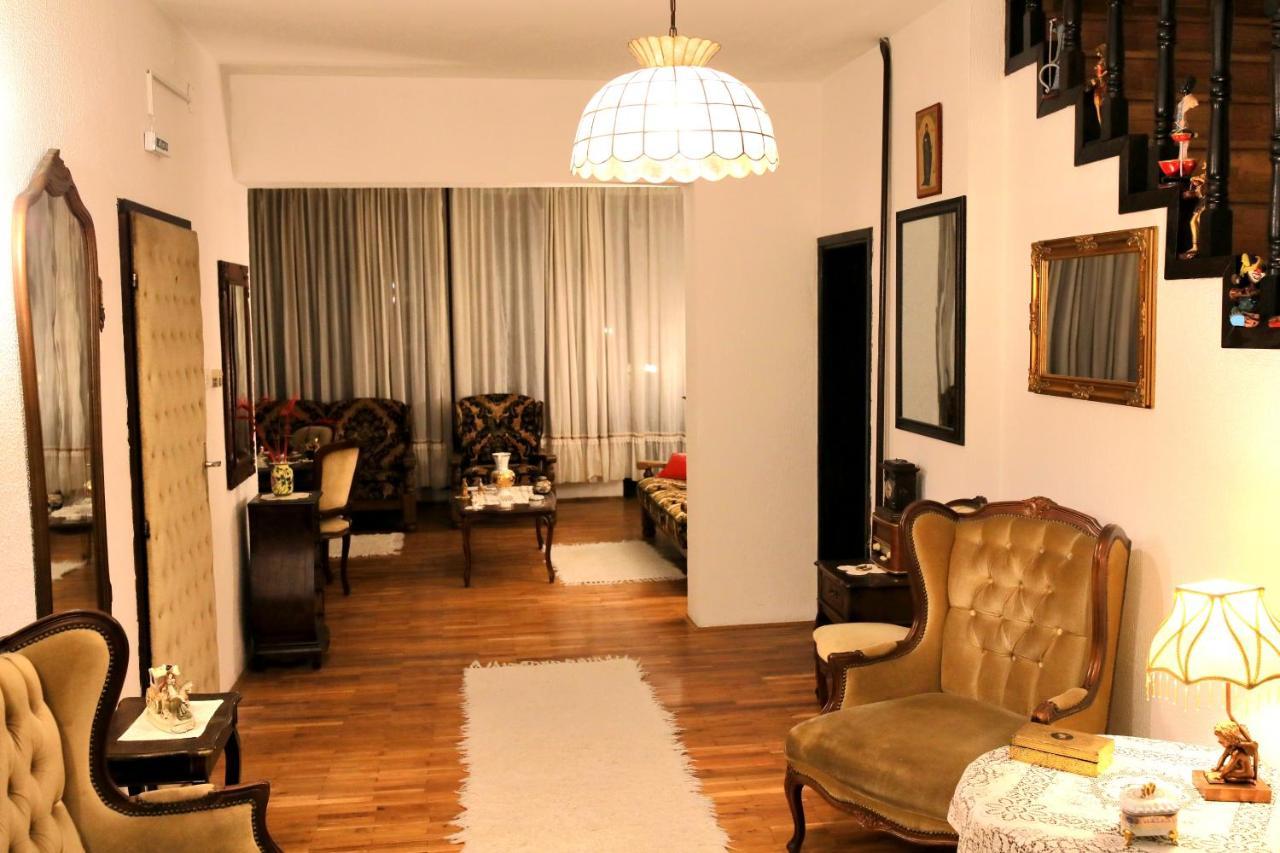 Vila Vasilije Hotel Novi Knezevac Eksteriør billede